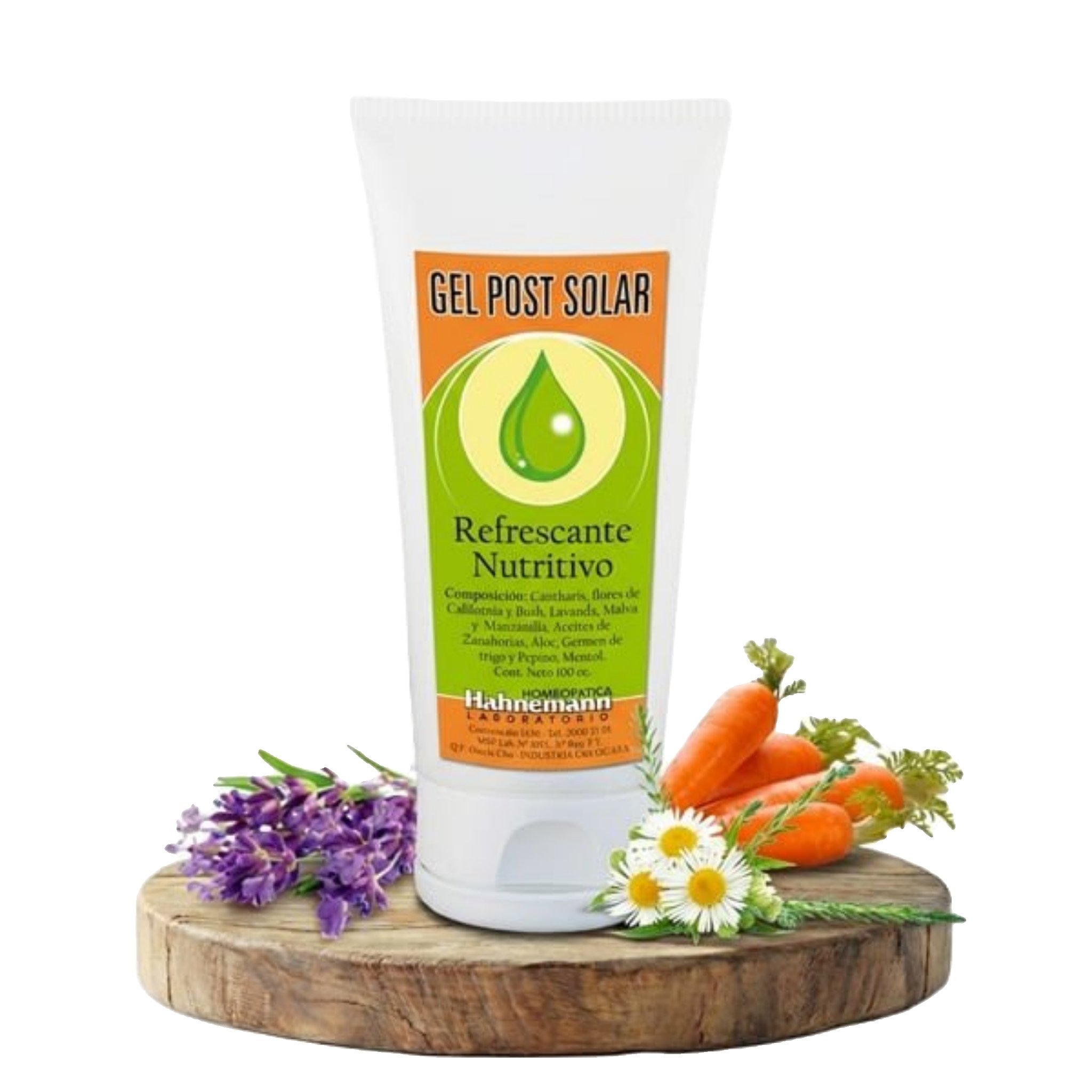 GEL POST SOLAR ALOE, ZANAHORIA Y GERMEN DE TRIGO Hahnemann 125g